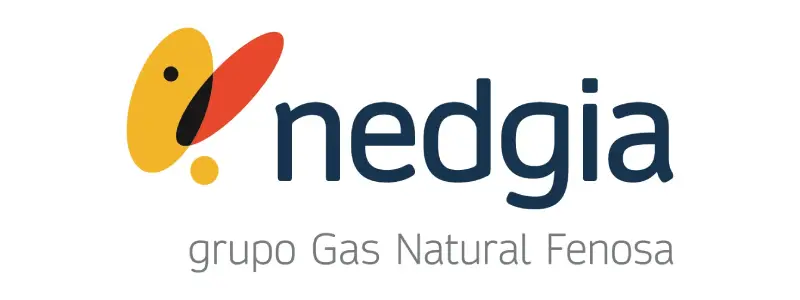 Nedgia Gas natural